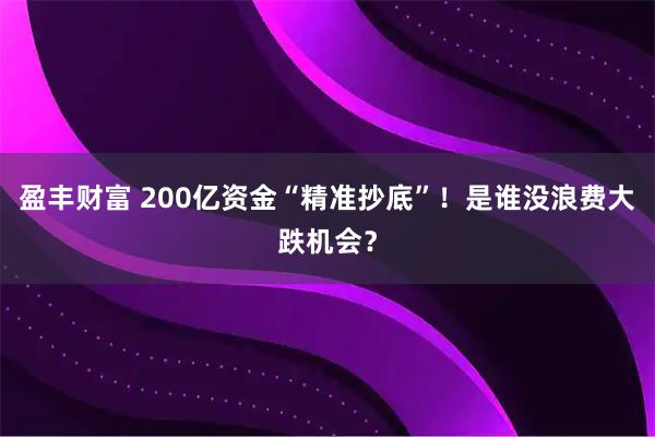 盈丰财富 200亿资金“精准抄底”！是谁没浪费大跌机会？