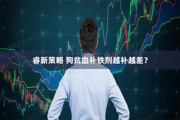 睿新策略 狗贫血补铁剂越补越差？
